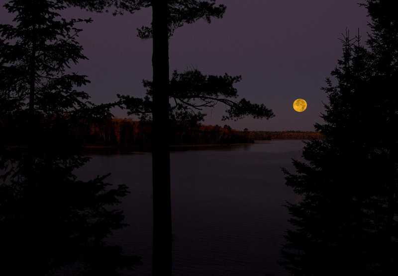 Harvest Moon and Fall colors Lake Itasca.jpg