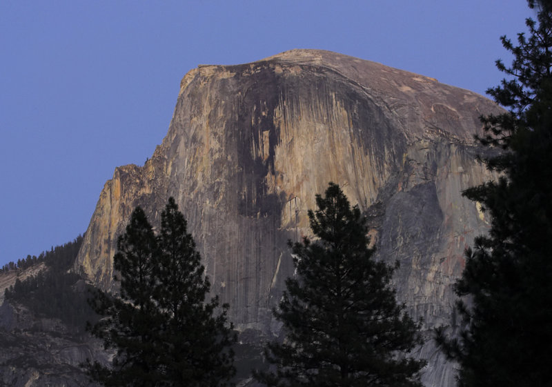 Half Dome from Curry Village.jpg