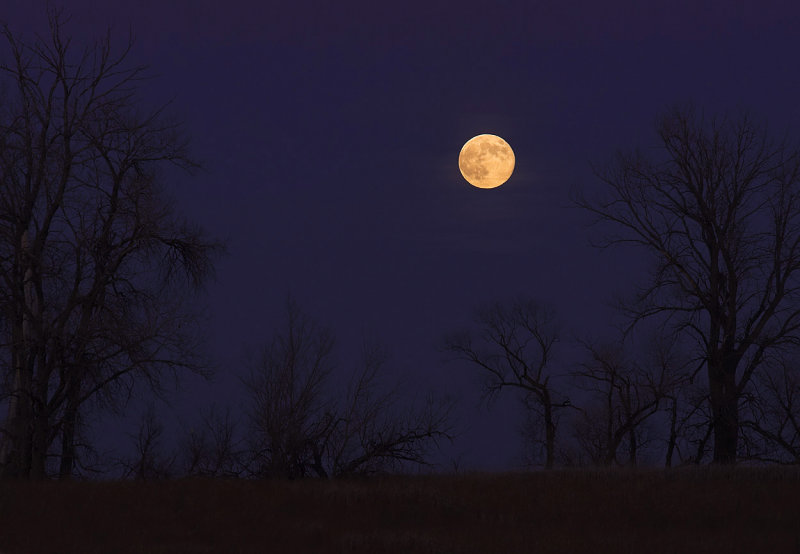 Moonrise on the Prairie.jpg