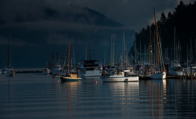 Winter in Cowichan Bay