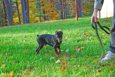 DSC_1644.jpg