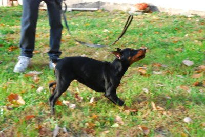 DSC_1646.jpg