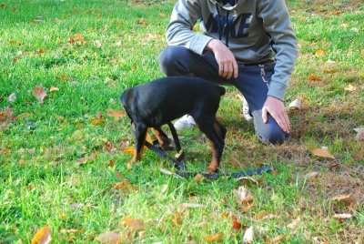 DSC_1652.jpg