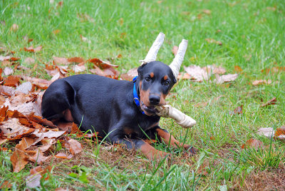 DSC_1774.jpg