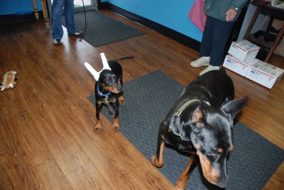 DSC_1870.jpg