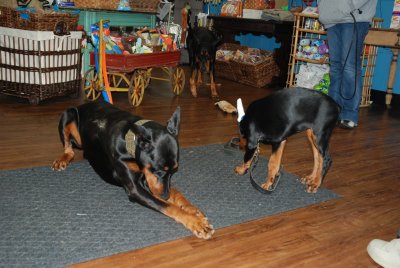 DSC_1878.jpg