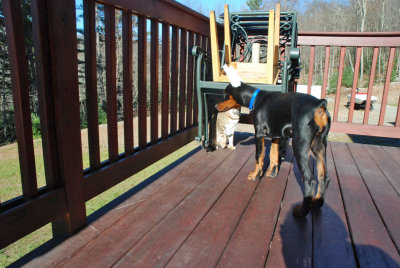 Leila and Mya playing