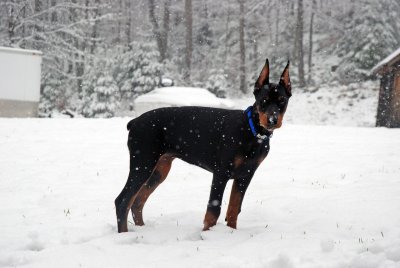 DSC_2126.jpg