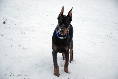 DSC_2133.jpg