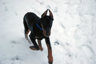 DSC_2146.jpg