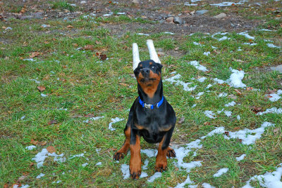 DSC_2151.jpg