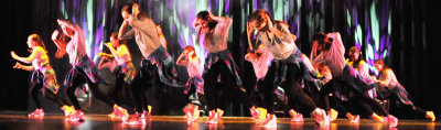 DSC_4806fbb.jpg