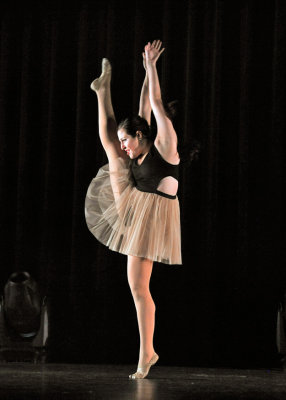 DSC_4951fb.jpg