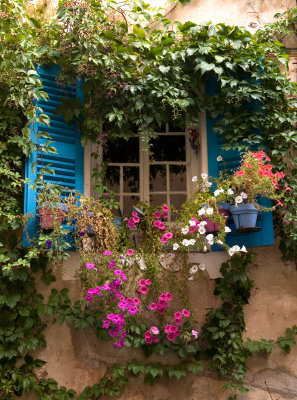 Volets bleus fleuris