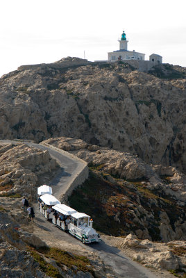 Le petit train