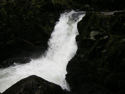 DSCN1685.JPG