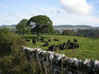 DSCN1660.JPG