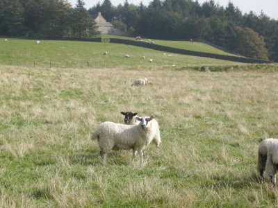 DSCN1664.JPG