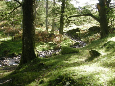 DSCN1668.JPG