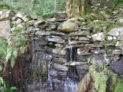 DSCN1669.JPG