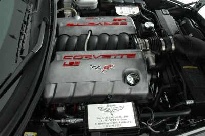 DSC_3061 Medium.JPG