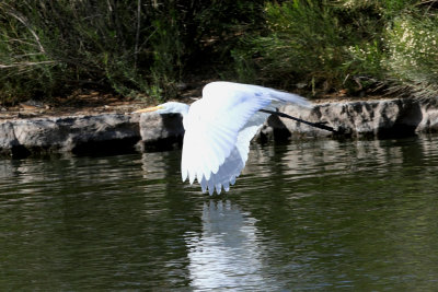 IMG_1878_1.jpg
