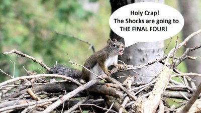 Shockers.jpg
