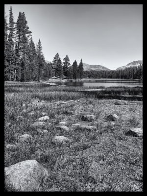 Dog Lake in BW