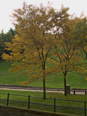 Autumn in the city (4)