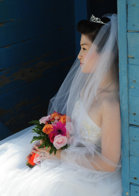 Bride in Blue Hut
