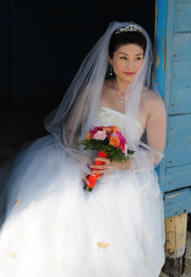 Bride in the Blue Hut