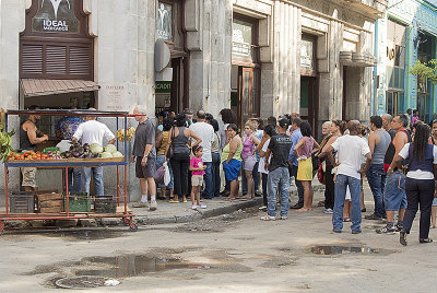 Waiting to Buy Eggs