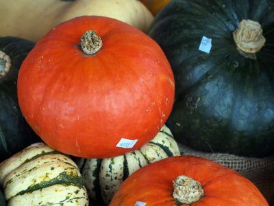 Squashes at the Rising Tide Market.