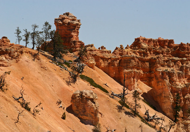 Bryce Canyon National Park -  USA2006