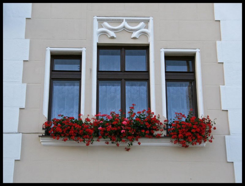 Windows in Vimperk