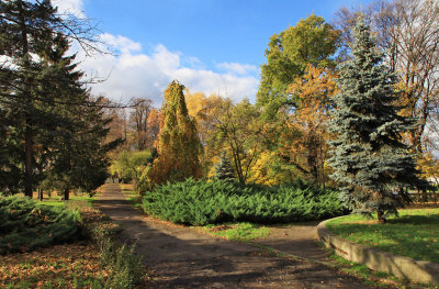 Park next to River Oder