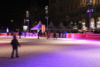 Vienna Ice Dream 2011_6.jpg