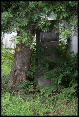 Tombstone in old cemetery