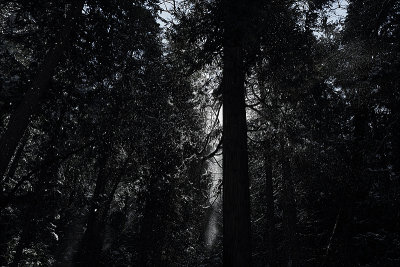 Yosemite 5.jpg
