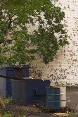 Tree Garbage Graffiti