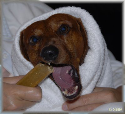 ...snack after bath.