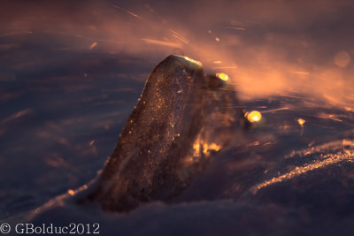 Poudrerie sur glace_Blowing snow on the ice