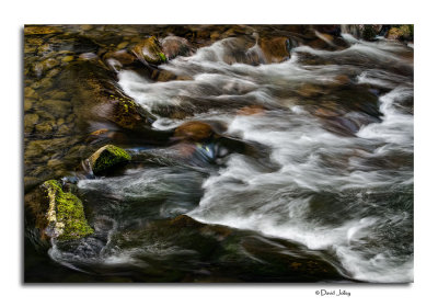 _DSC1185