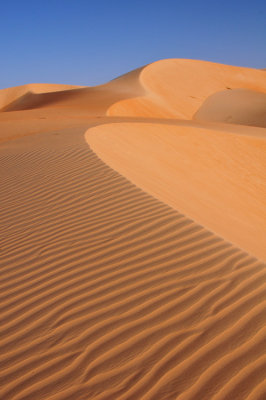 Sahara