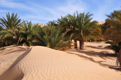 Lagueilla oasis