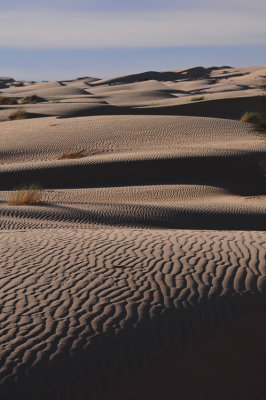Sahara