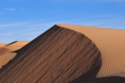 Sahara