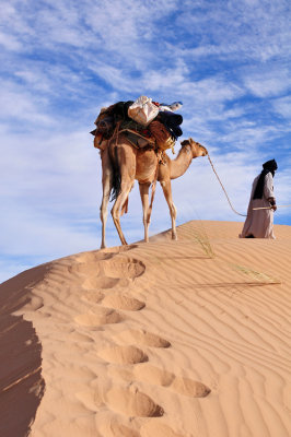 Sahara
