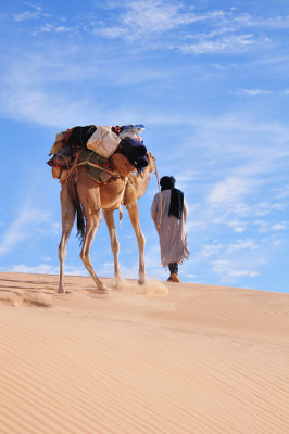 Sahara