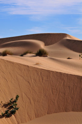 Sahara